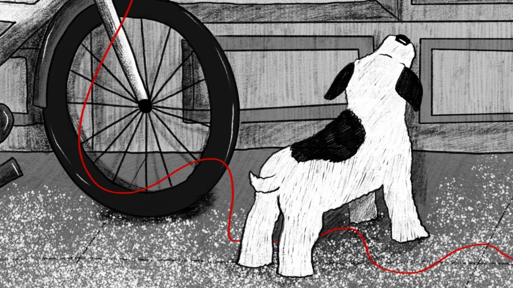 Lucky e il filo&nbsp;rosso